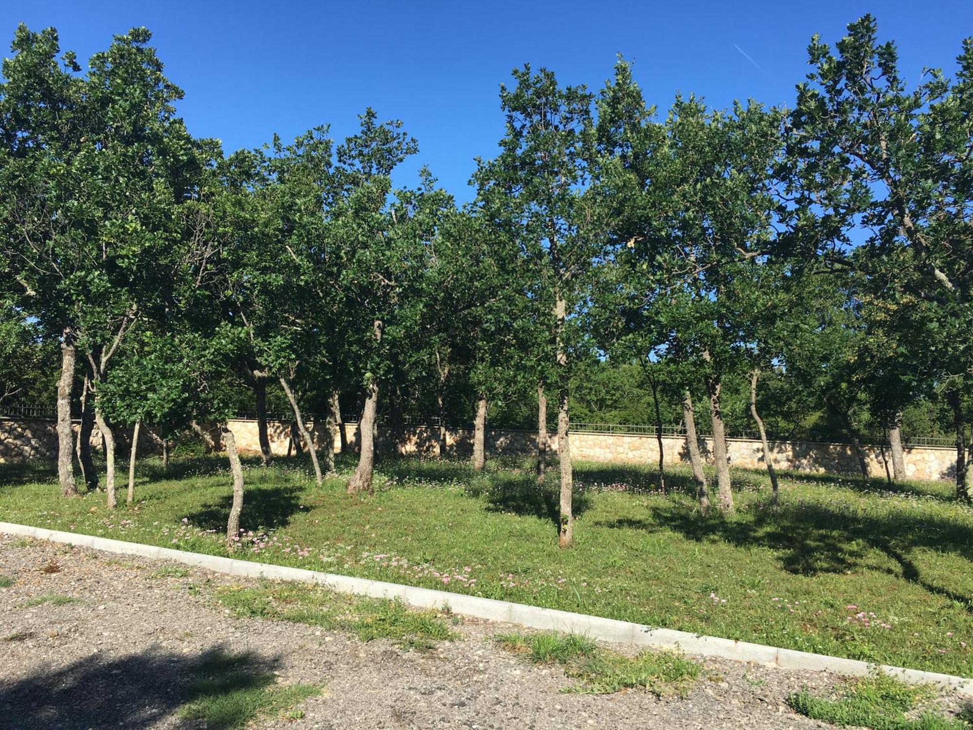Micanovi Dvori Mobile Home Village Zrmanja โอเบรอควาซ ภายนอก รูปภาพ